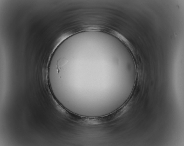 X0000086341194200704131736