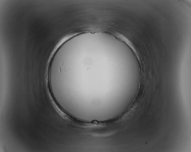 X0000086341195200704131736
