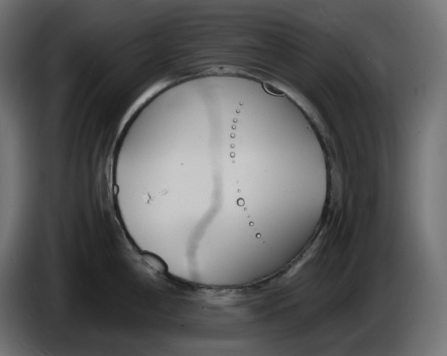 X0000086341198200704131736