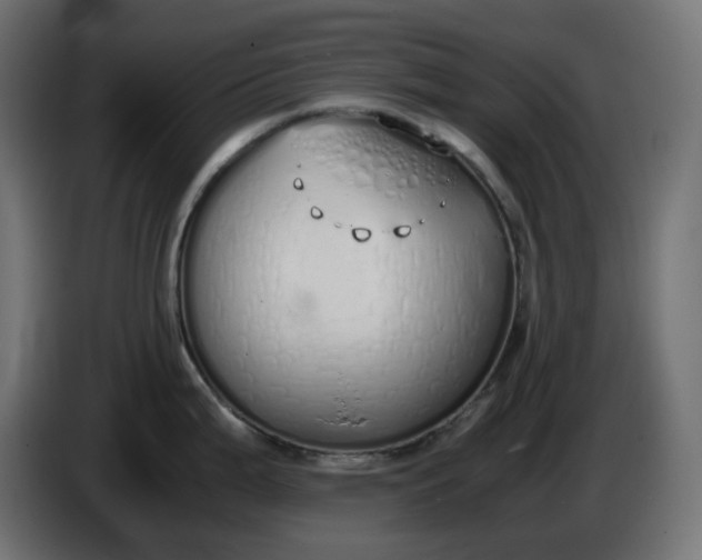 X0000086341199200704131736