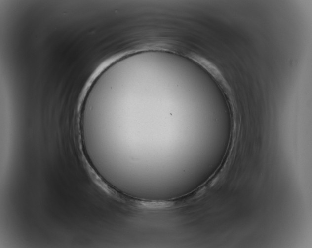 X0000086341200200704131736
