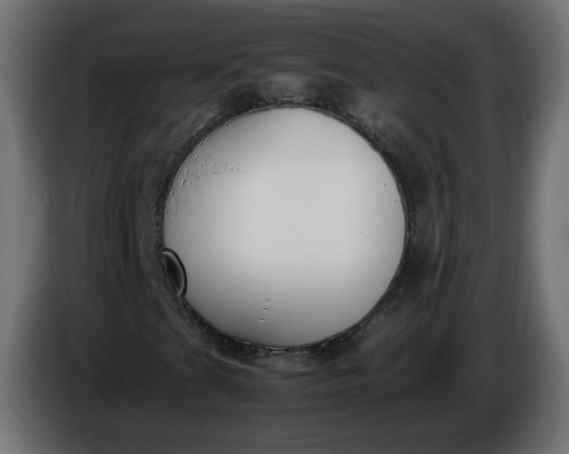 X0000086341201200704131736