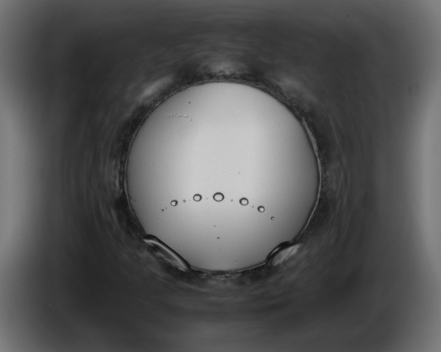 X0000086341205200704131736