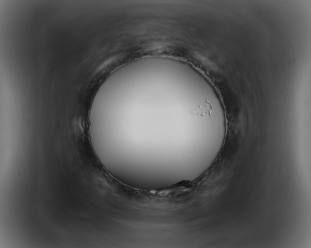X0000086341206200704131736