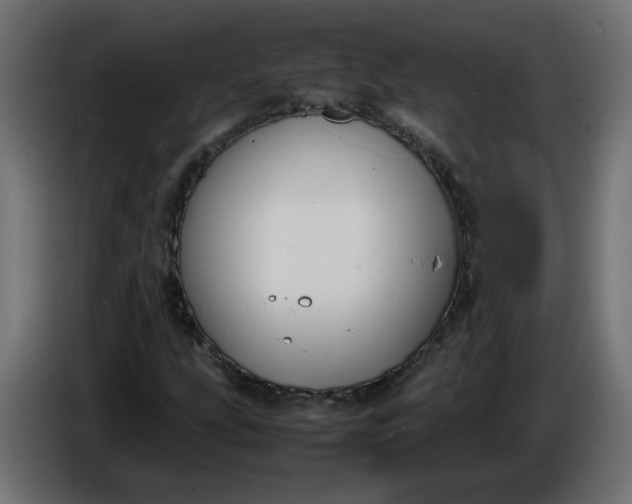 X0000086341207200704131736