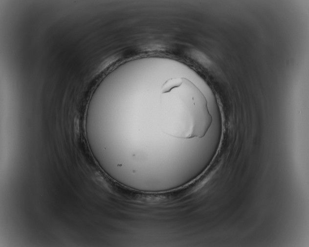 X0000086341209200704131736