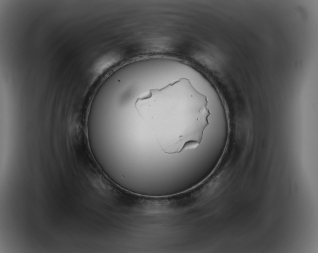 X0000086341210200704131736
