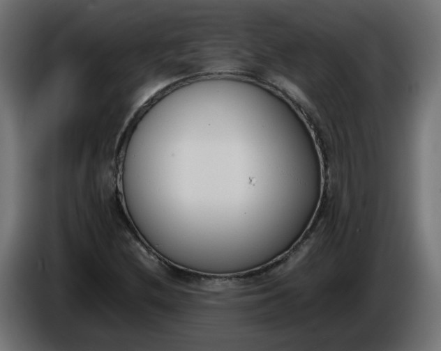 X0000086341212200704131736