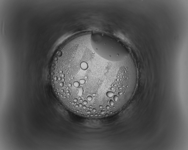 X0000086341215200704131736
