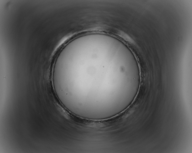 X0000086341216200704131736