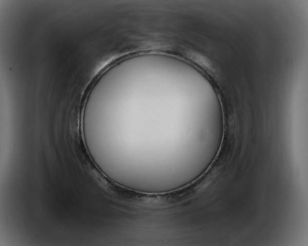 X0000086341220200704131736