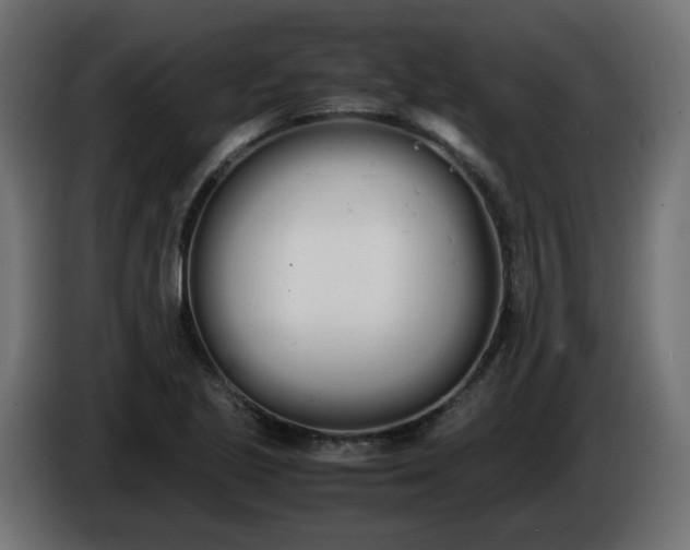 X0000086341221200704131736