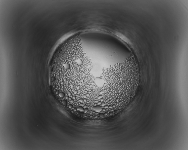 X0000086341223200704131736