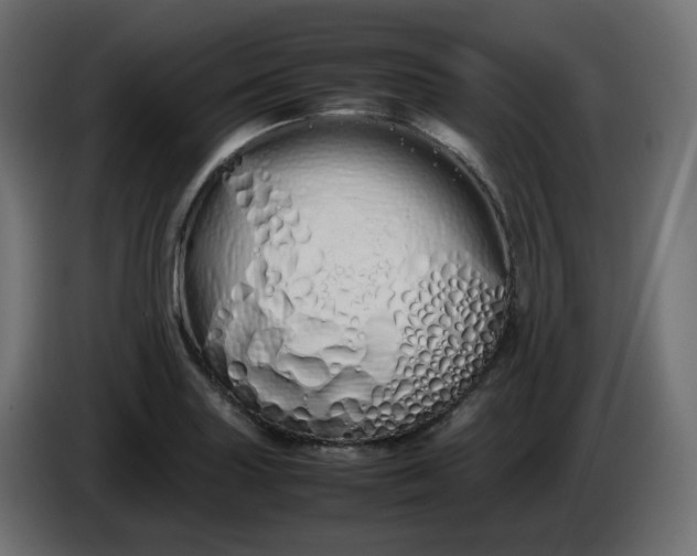 X0000086341227200704131736