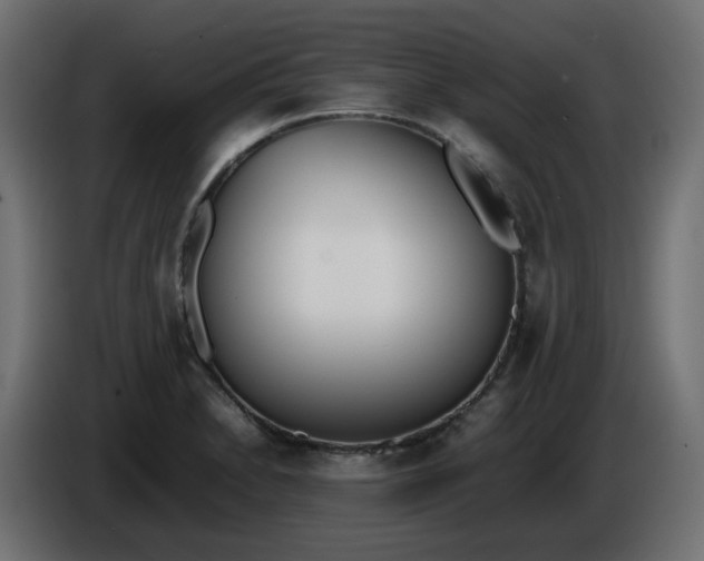 X0000086341230200704131736