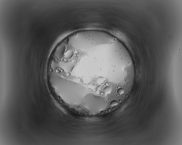 X0000086341231200704131736