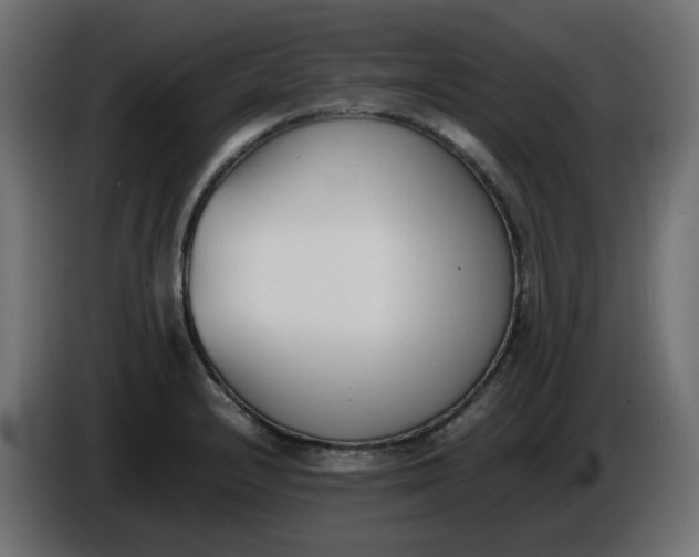 X0000086341232200704131736