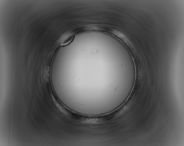 X0000086341233200704131736