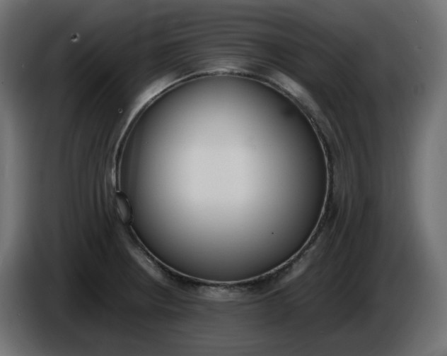 X0000086341234200704131736