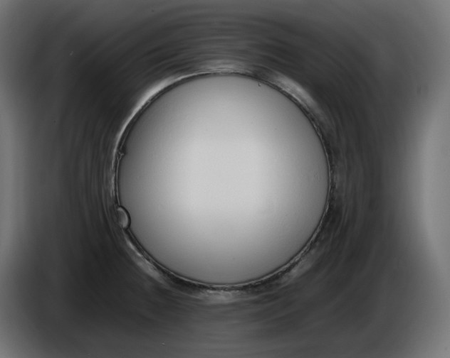X0000086341236200704131736