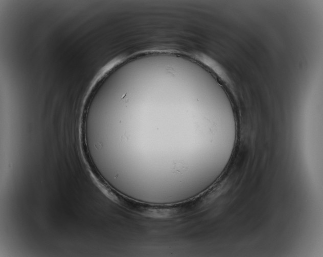 X0000086341237200704131736