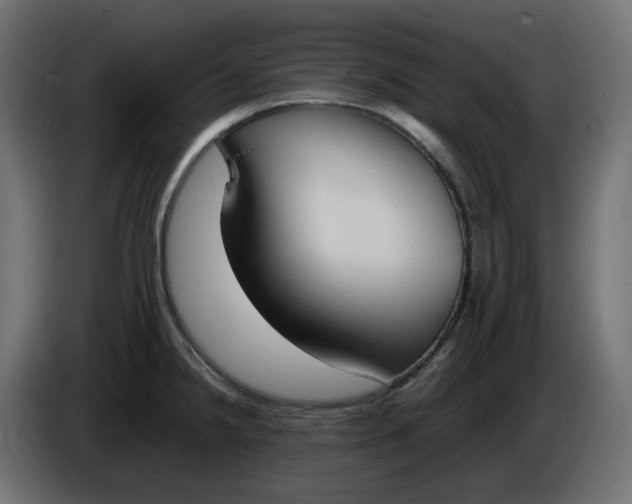 X0000086341238200704131736