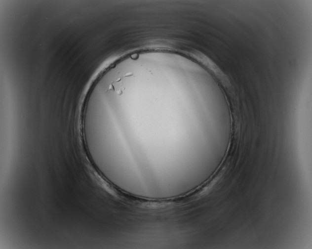 X0000086341240200704131736