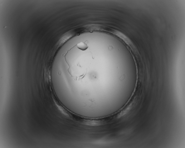 X0000086341241200704131736