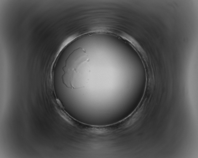 X0000086341242200704131736