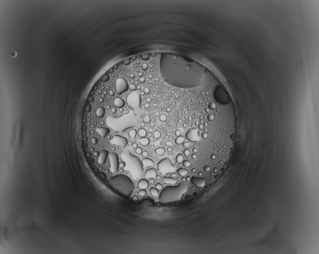 X0000086341243200704131736