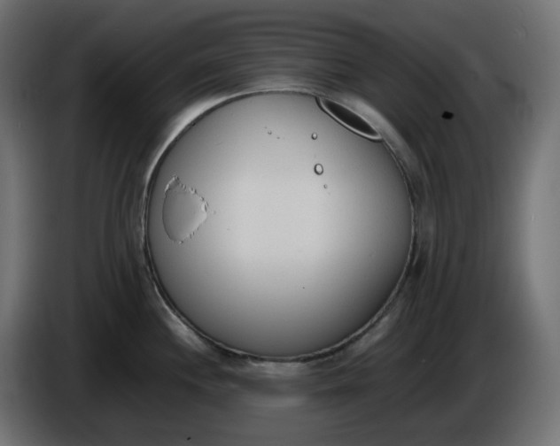 X0000086341244200704131736