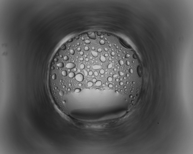 X0000086341245200704131736