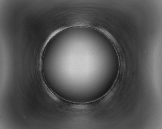 X0000086341246200704131736