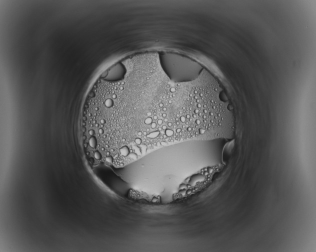 X0000086341247200704131736