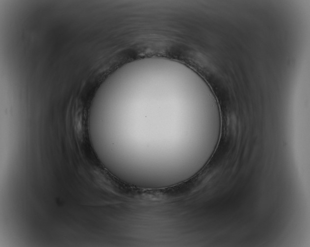 X0000086341250200704131736