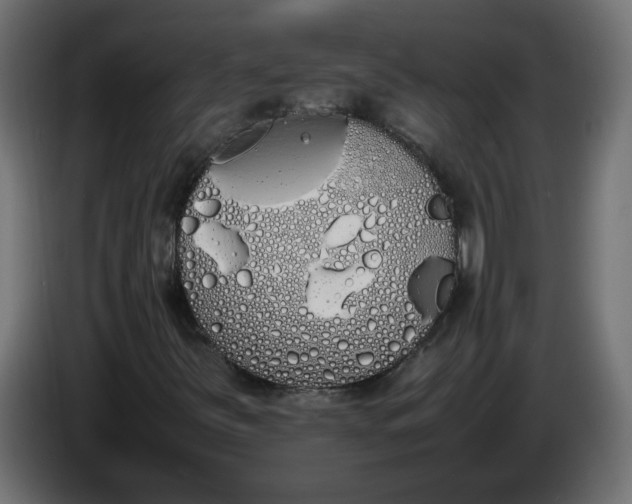 X0000086341251200704131736