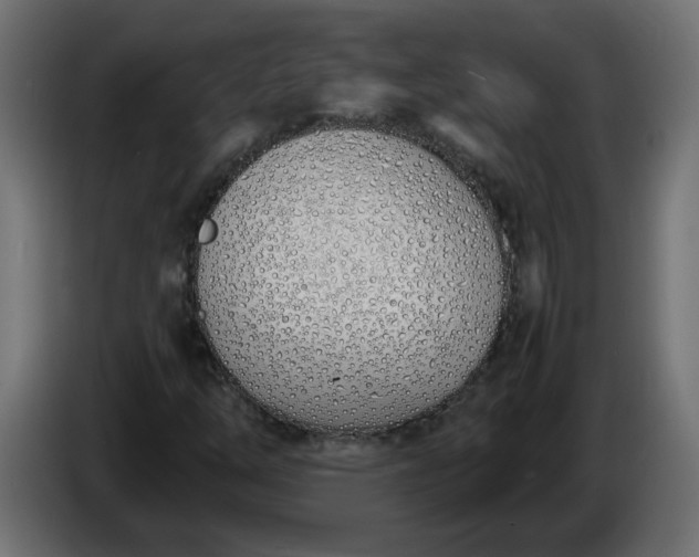 X0000086341254200704131736