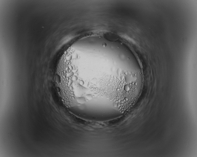 X0000086341255200704131735