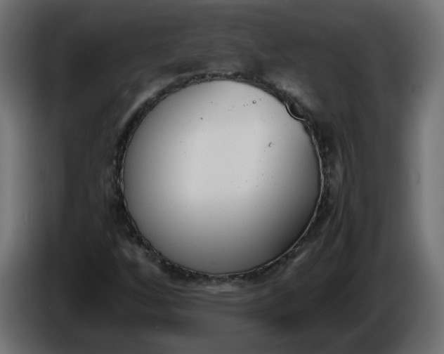 X0000086341256200704131735