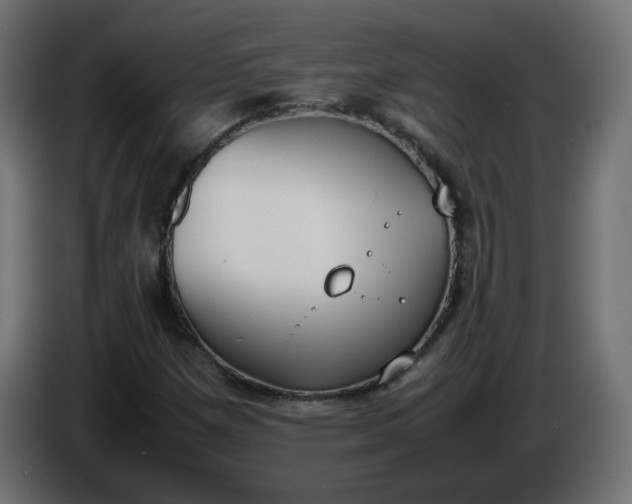 X0000086341257200704131735