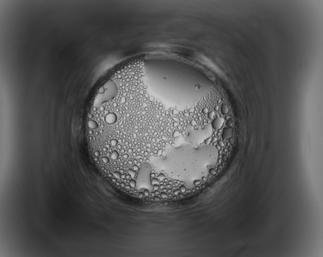 X0000086341259200704131735
