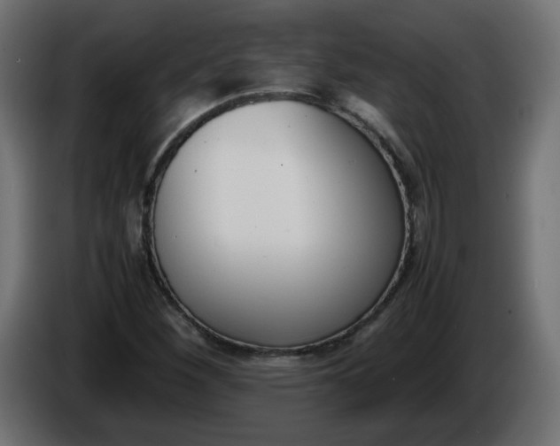 X0000086341260200704131735