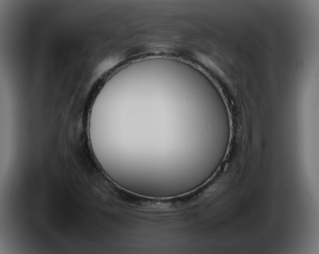X0000086341261200704131735