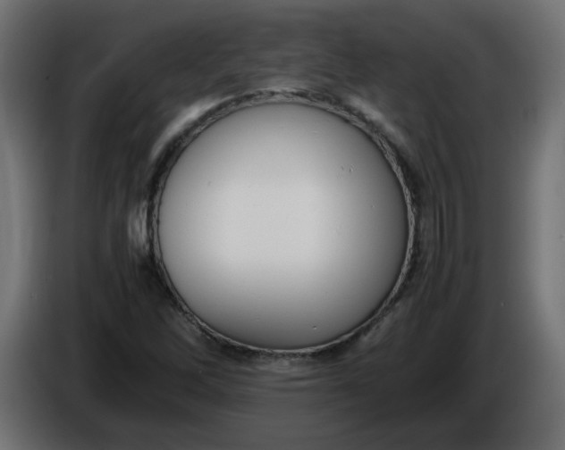 X0000086341262200704131735
