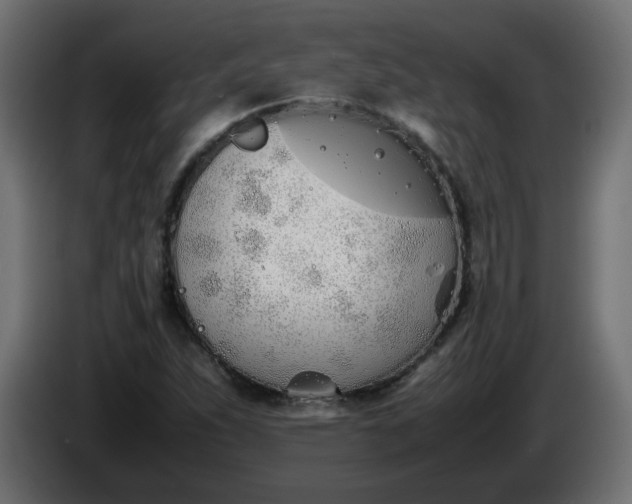 X0000086341263200704131735