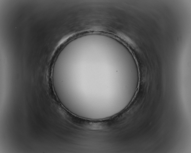 X0000086341264200704131735