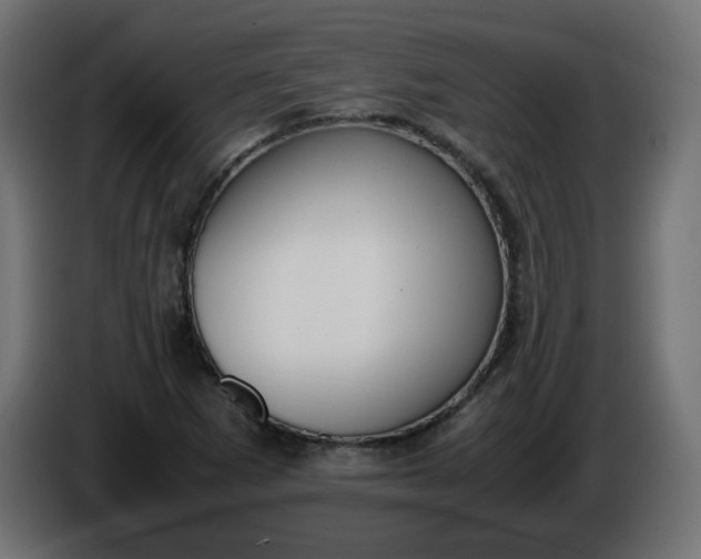 X0000086341265200704131735