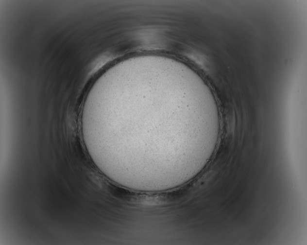 X0000086341266200704131735