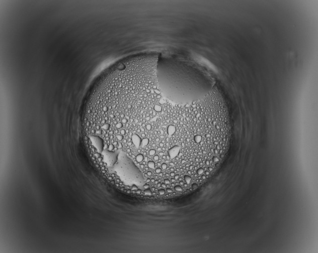 X0000086341267200704131735