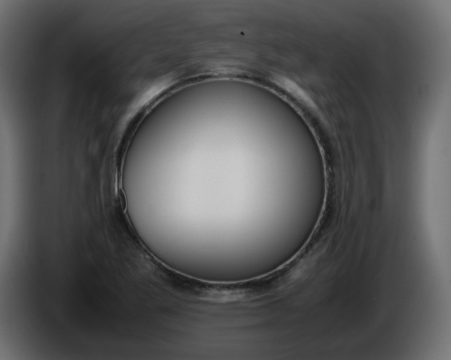 X0000086341269200704131735